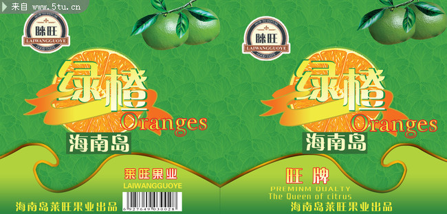 自已做的海南绿橙水果包装