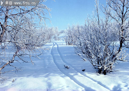 冬季素材 冰天雪地