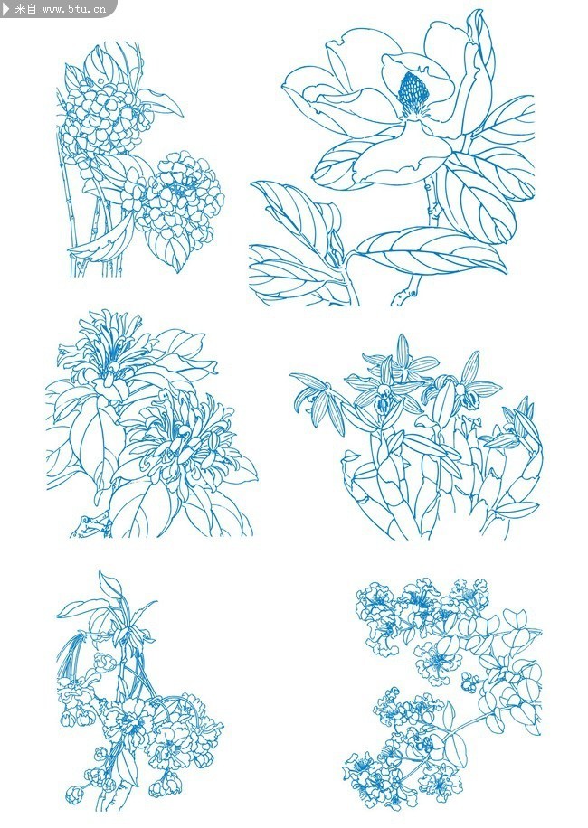 线描花朵素材