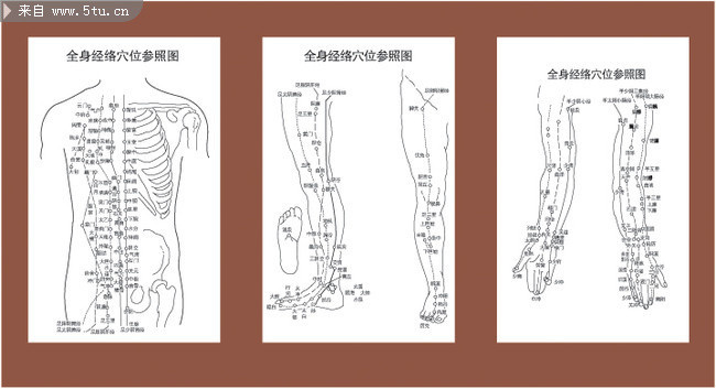 针灸全身穴位参照图