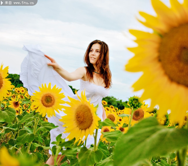 白裙美女写真 向日葵花海图片