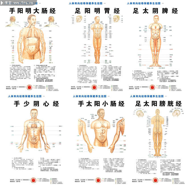 人体穴位解说图