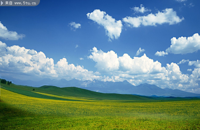 碧绿草原图片 草原风景