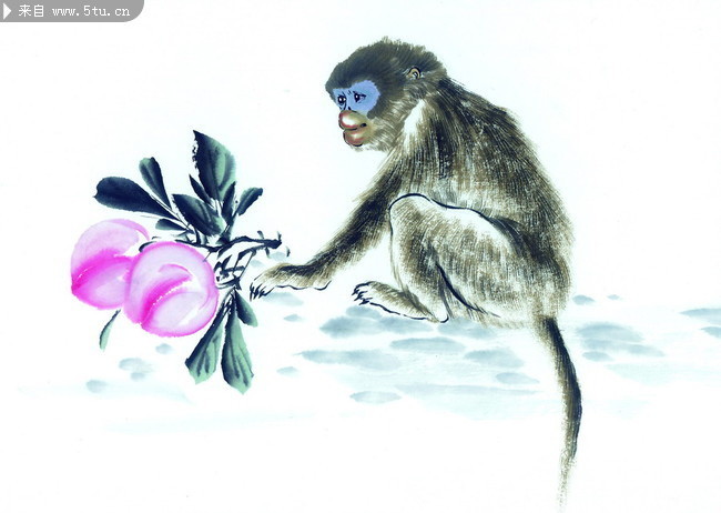 猴子与桃子 国画图片