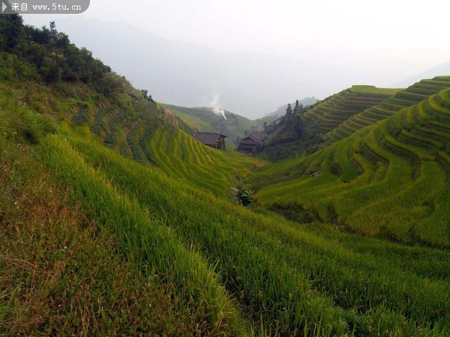 桂林田园风景图片