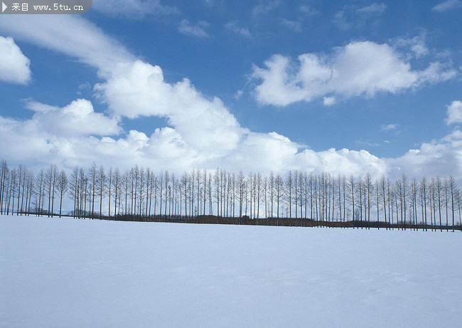 白皑皑雪地风景 冬天雪景图片 