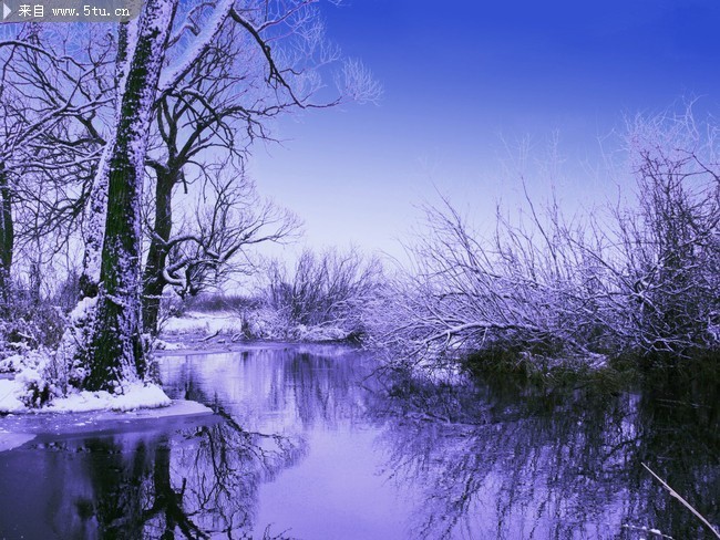 河畔冬天雪景图片 可当影楼背景墙