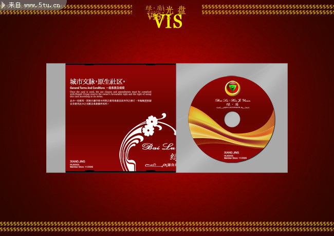 VI光盘设计 光盘盒设计模板