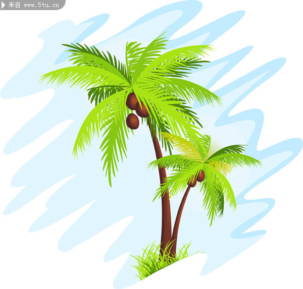 椰树矢量图 椰子图片