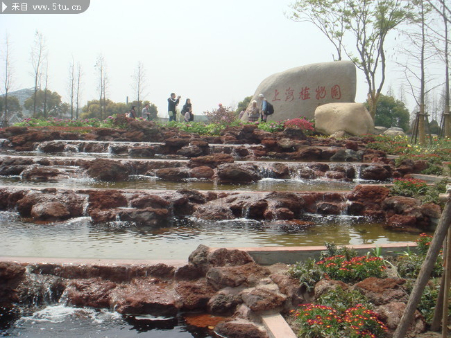 上海植物园图片 小假山图片