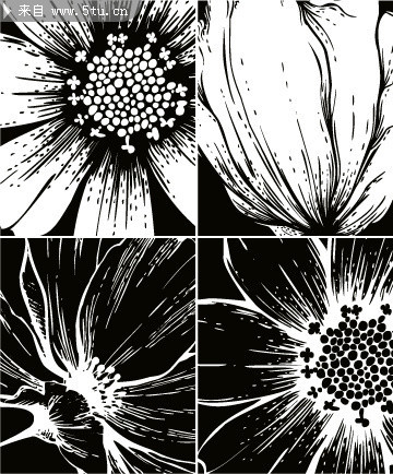 黑白花朵版画 移门图案矢量图