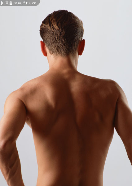 肌肉男背部图片 