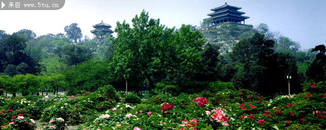 景山公园风景图片