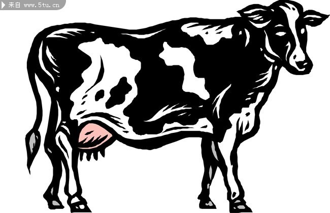 奶牛矢量图 手绘奶牛 