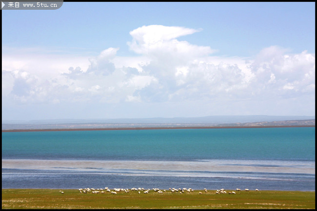 青海湖图片 湖泊风光景色