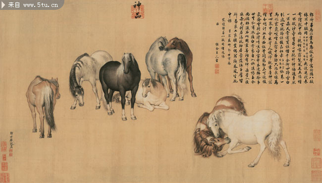 郎世宁八骏马高清大图 国画超大尺寸图片