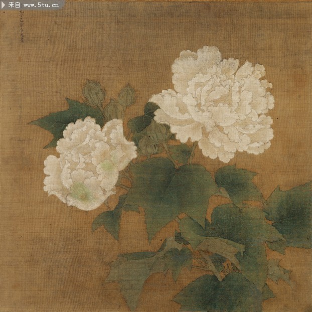 白芙蓉国画图片 南宋李迪国画作品