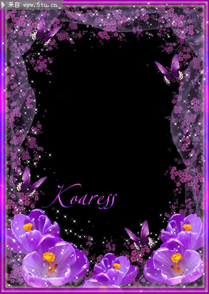 紫罗兰相框素材 鲜花相框图片 