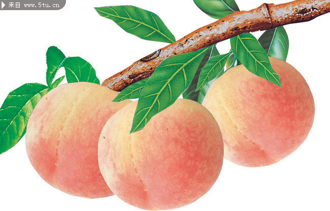 水蜜桃图片 三个桃子