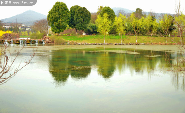 乡村水塘风景图片