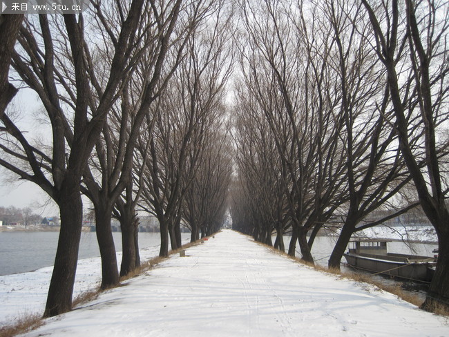 冬天雪地图片素材 