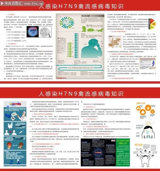 人感染H7N9禽流感病毒知识宣传栏