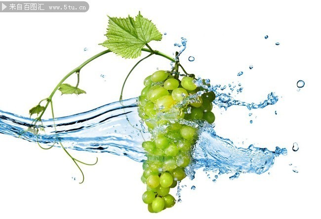 动态水与葡萄的图片