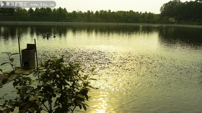 湖面景观摄影图片 可用于地产海报