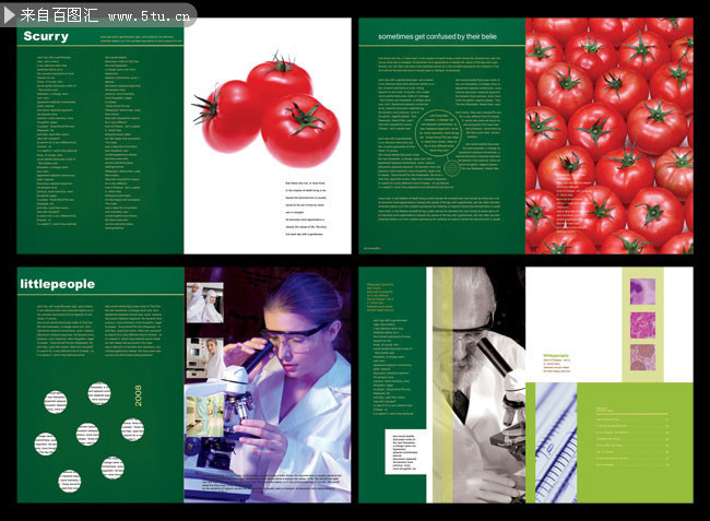 农业生物科技宣传册素材