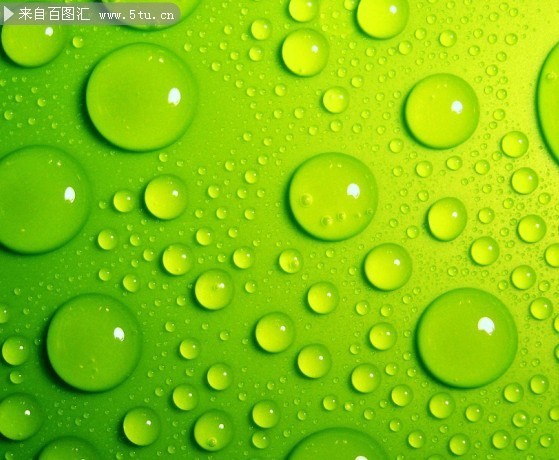 高清晰水珠背景 绿色桌面壁纸