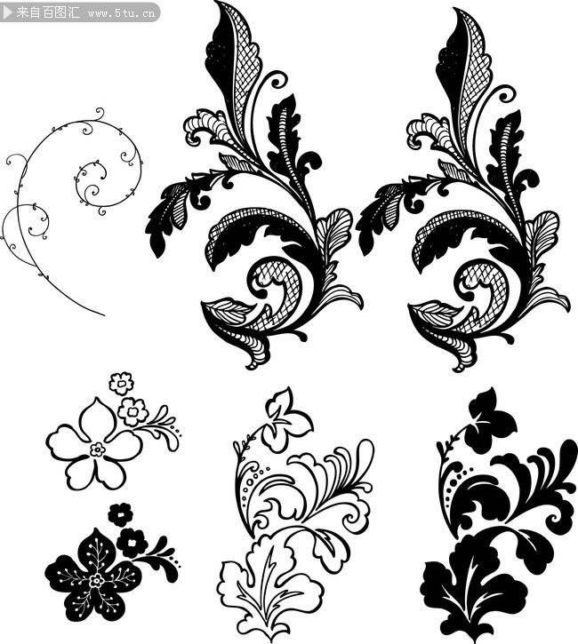 素描植物花纹图案