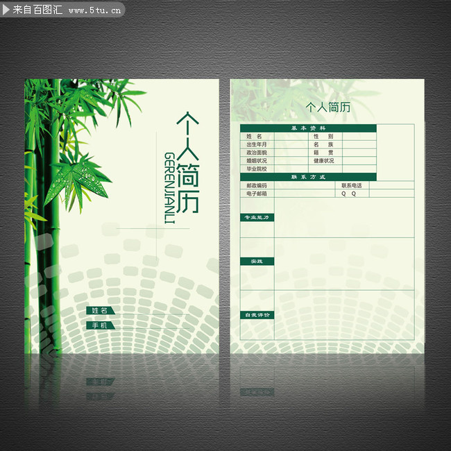 个人求职简历设计模板