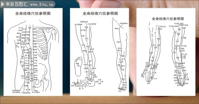 全身经络穴位参照图