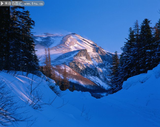 高清雪山夜景图片素材