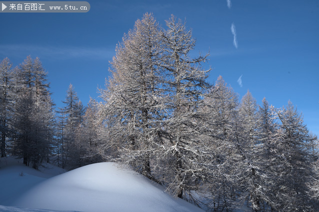 冬季雪景摄影素材