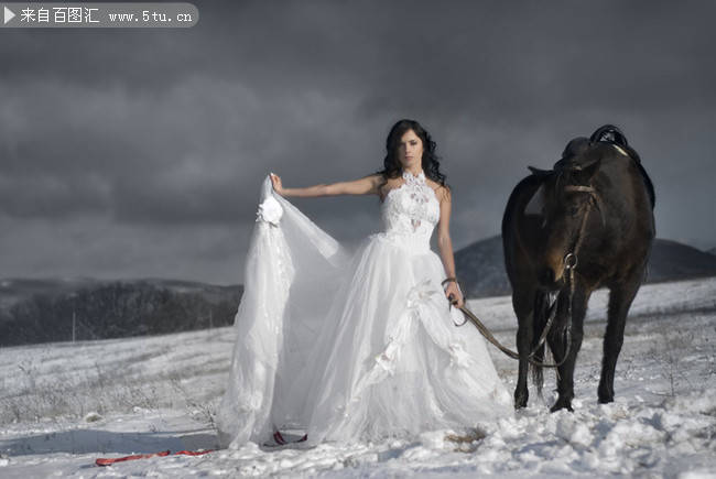 雪地牵马的新娘图片