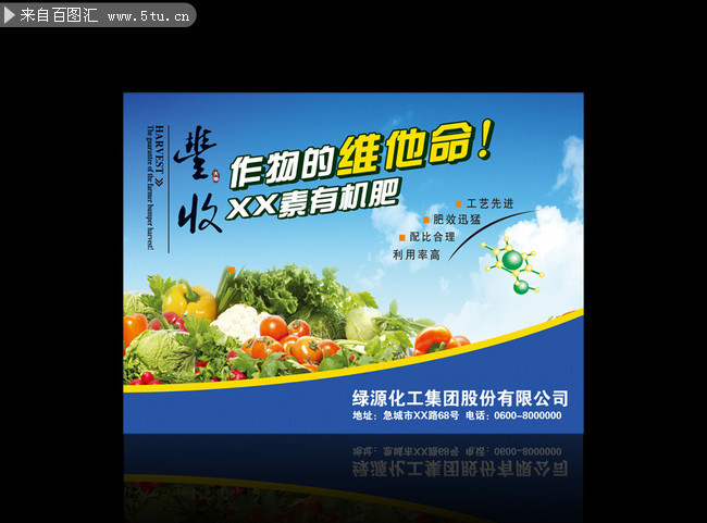 蔬菜水果图片 蔬果介绍海报模板