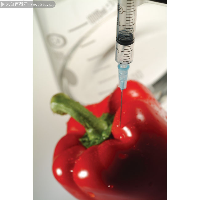 生物科技 打针的红椒图片