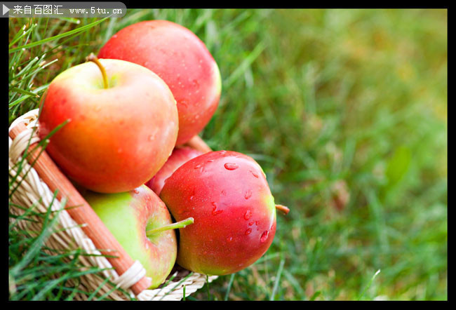 草地上的苹果图片
