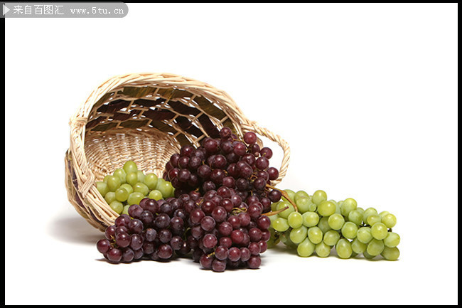 葡萄高清图片素材