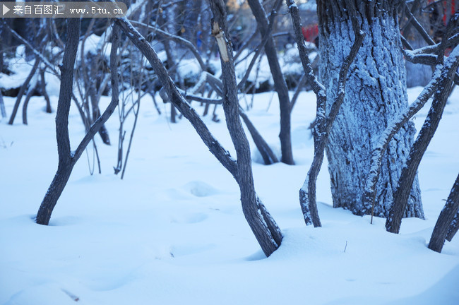 公园冬雪景色素材图片