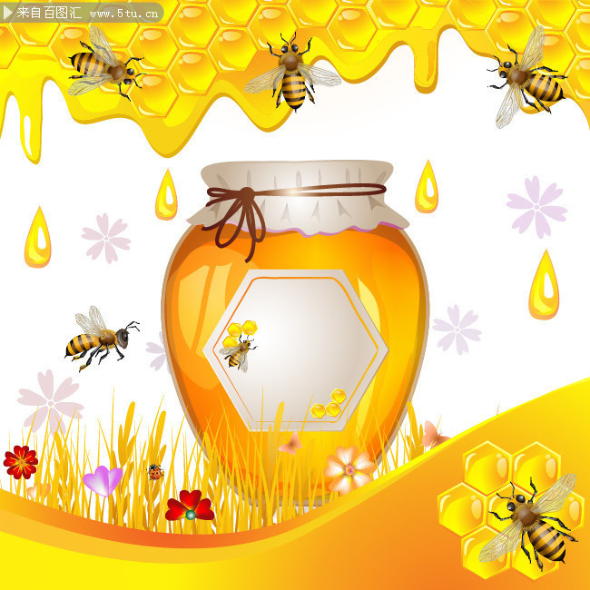 蜂蜜矢量图片