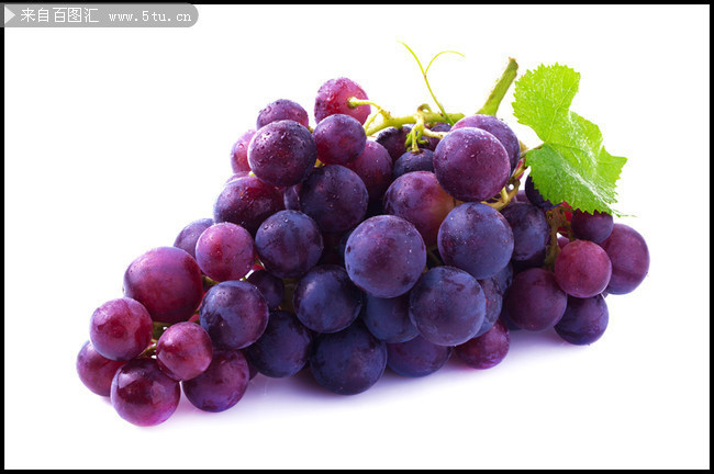 紫色葡萄高清图片