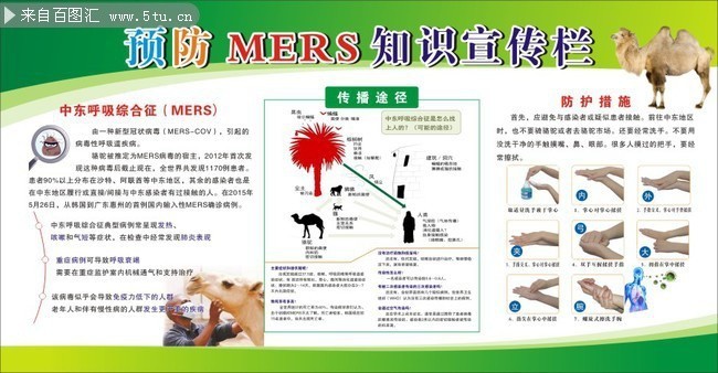 中东呼吸综合征(MERS)预防宣传栏