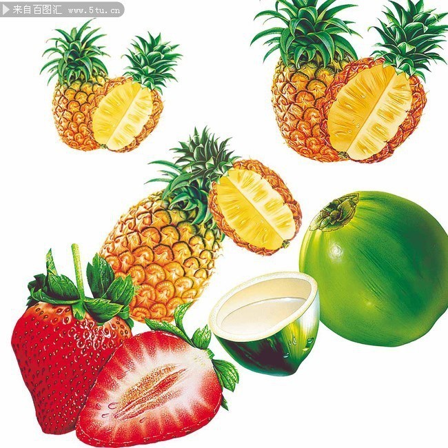 热带水果分层素材