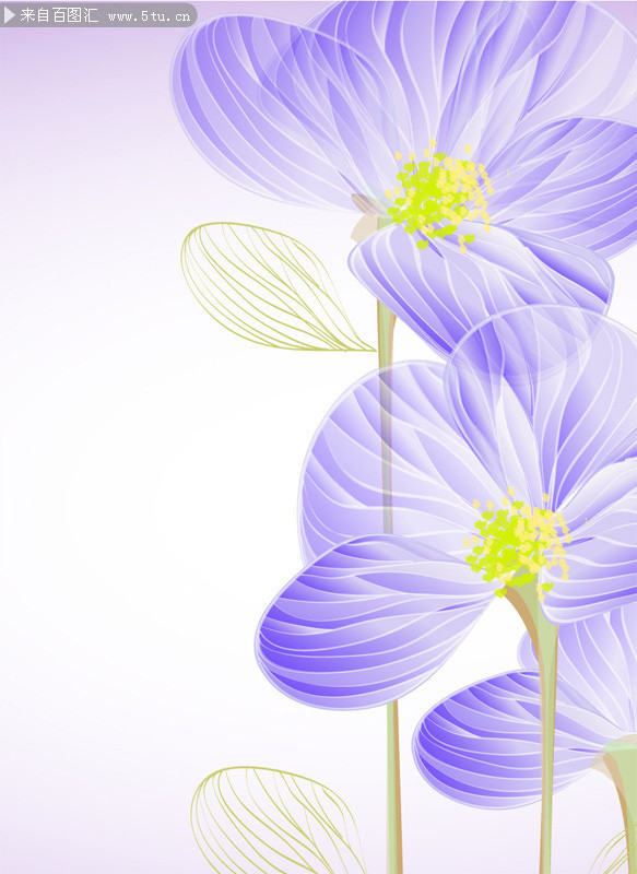 紫色花朵背景下载