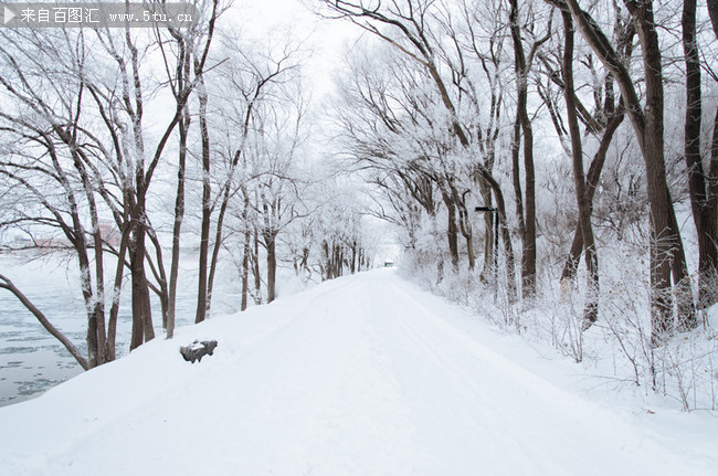 冬天雪景图片素材