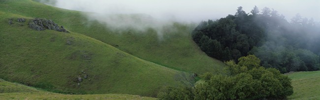 绿色山坡风景图片