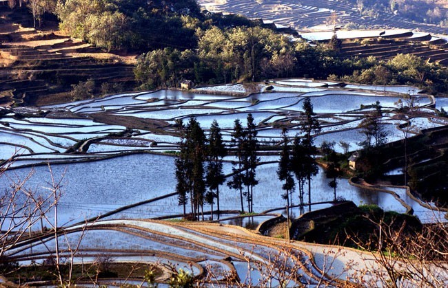 乡村农田风景图片