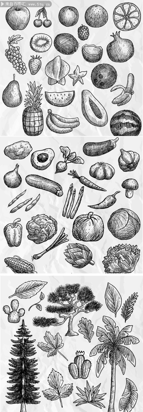 21种手绘蔬菜瓜果图片